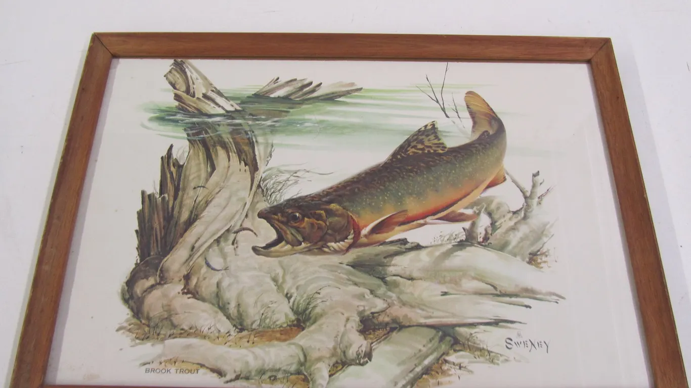 Sweney Brook Trout Print