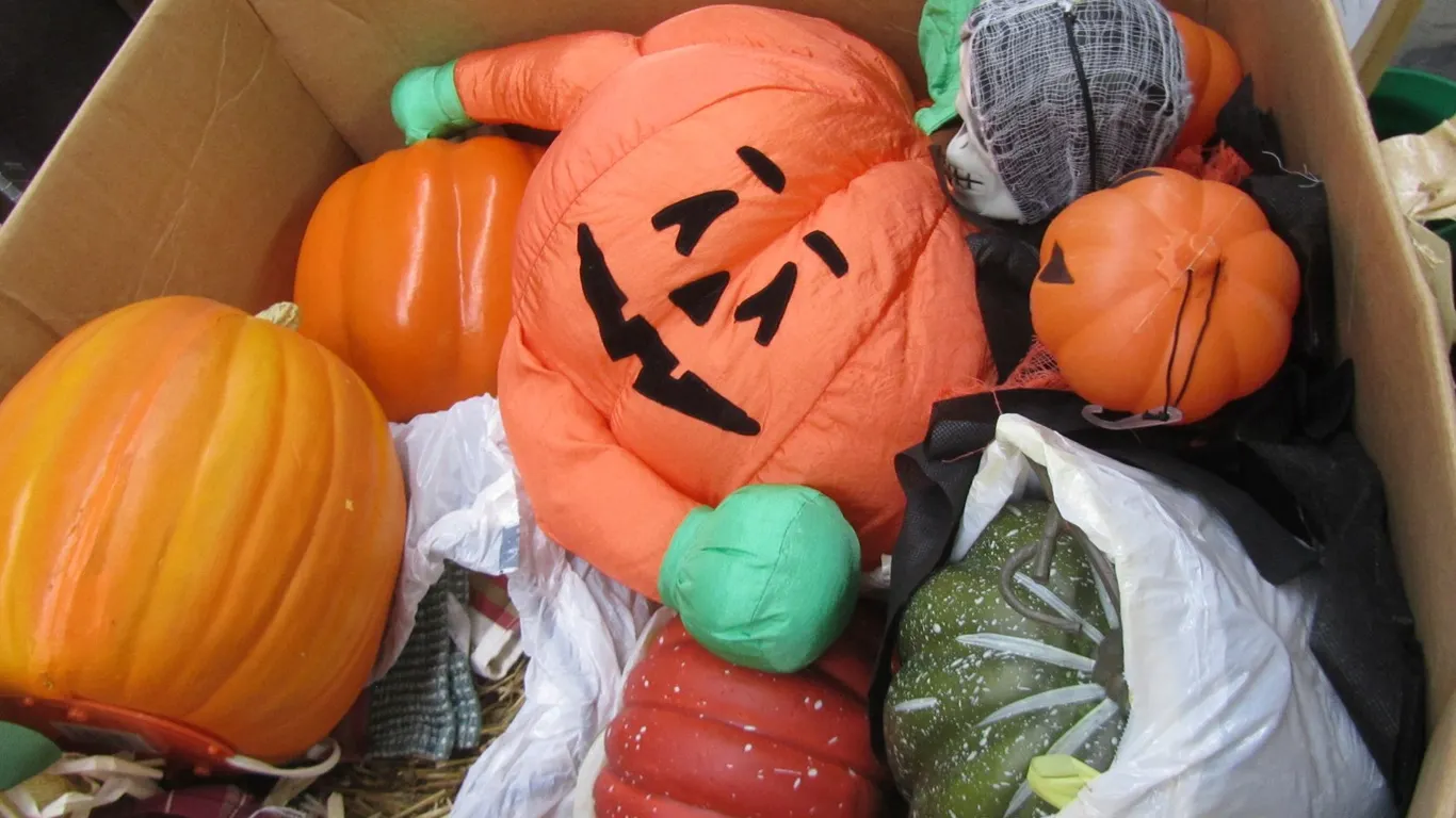 Lot Of Assorted Halloween/Fall Decorations