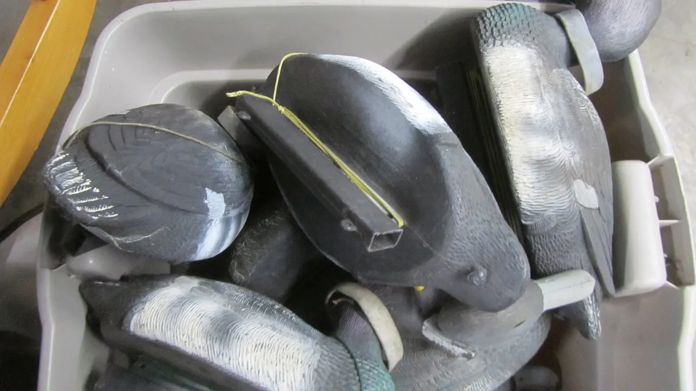 (12) Blue Bill Duck Decoys w/Weights