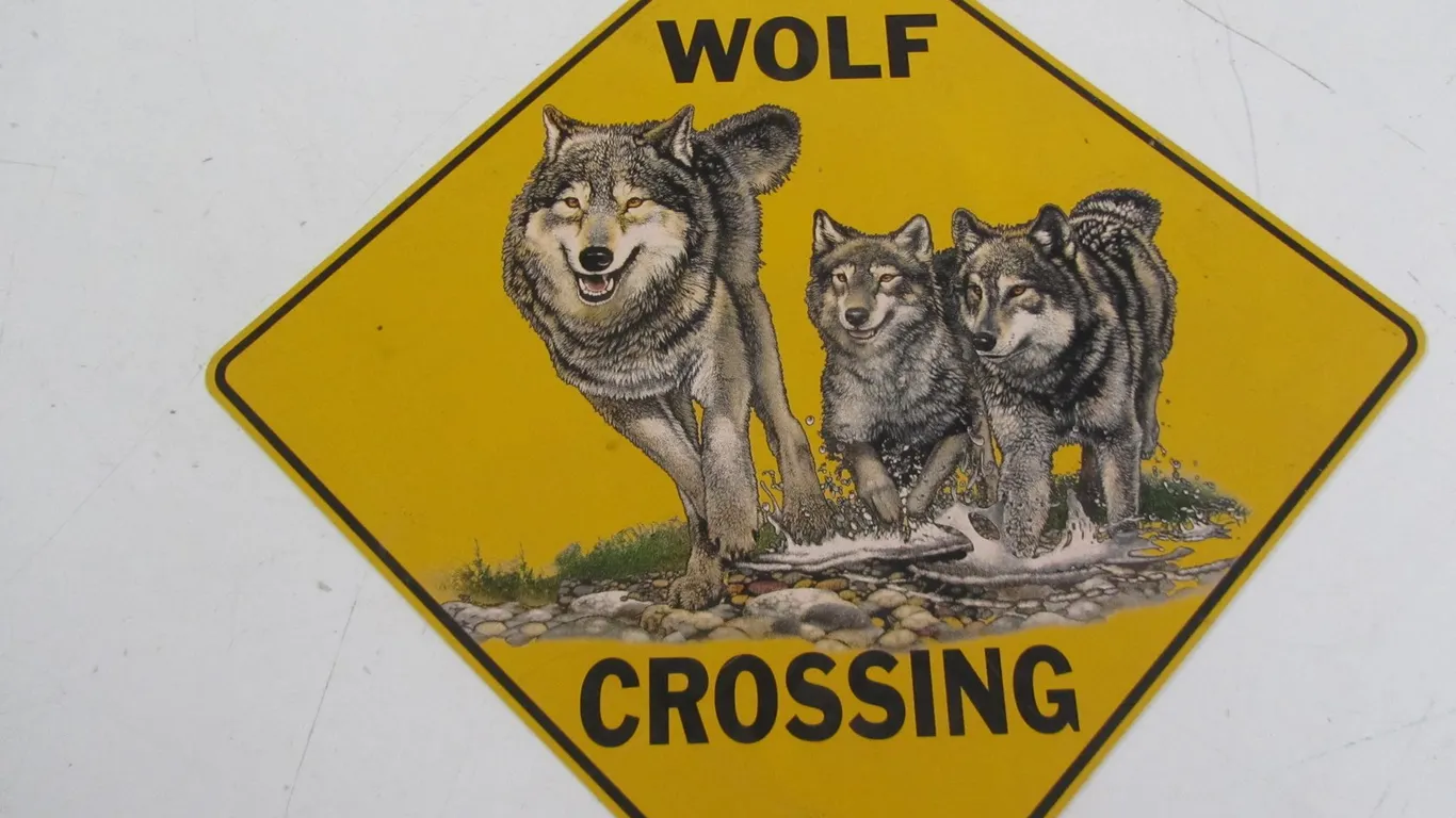 Wold Crossing Sign