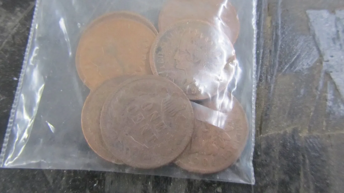 (7) Indian Head Cents