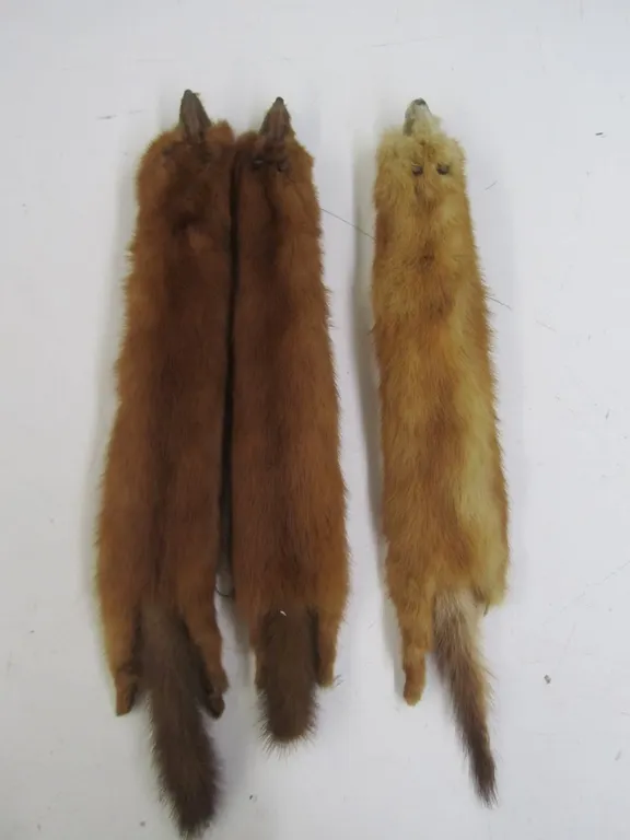 (3) Mink Pelts