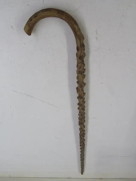 Vintage Stalk Cane