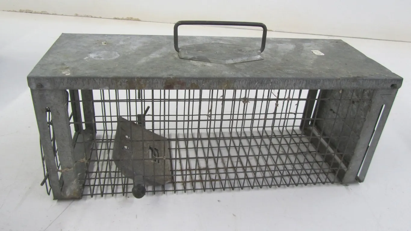 Victor Animal Trap