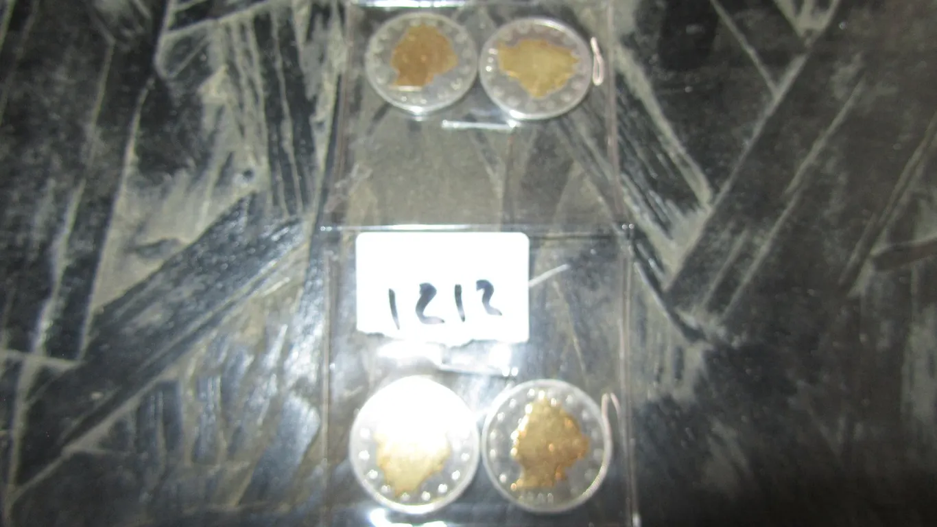 (4) 1901-1905 Gold Plated Liberty Head Nickels