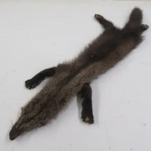 Badger Pelt