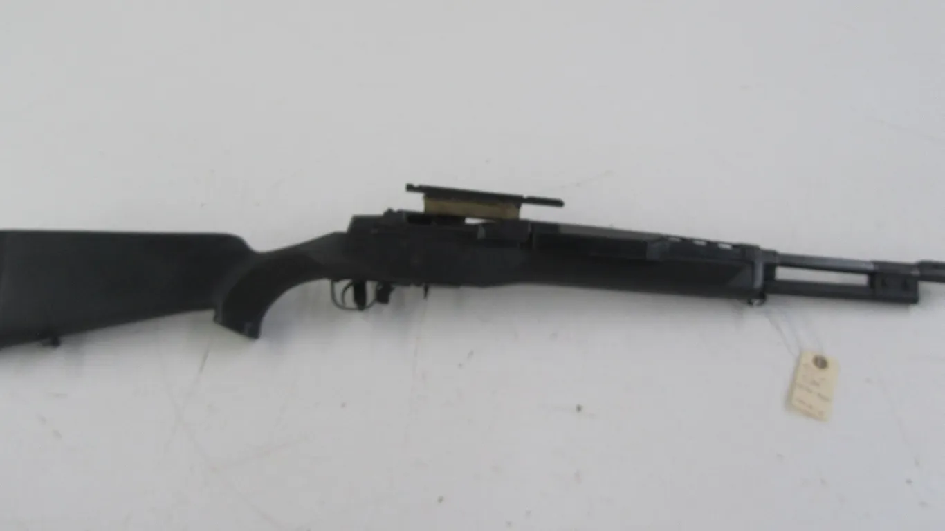 Ruger Mini 14