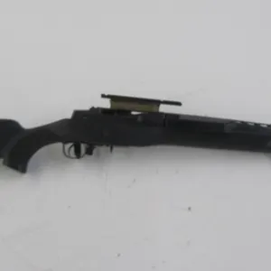 Ruger Mini 14
