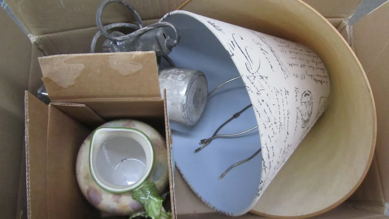 Paint Sprayer, Steam Iron, (2) Lamp Shades, And Ceramic Pitcher