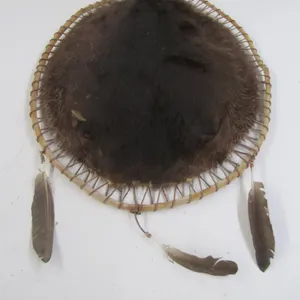 Beaver Pelt w/Wood Frame