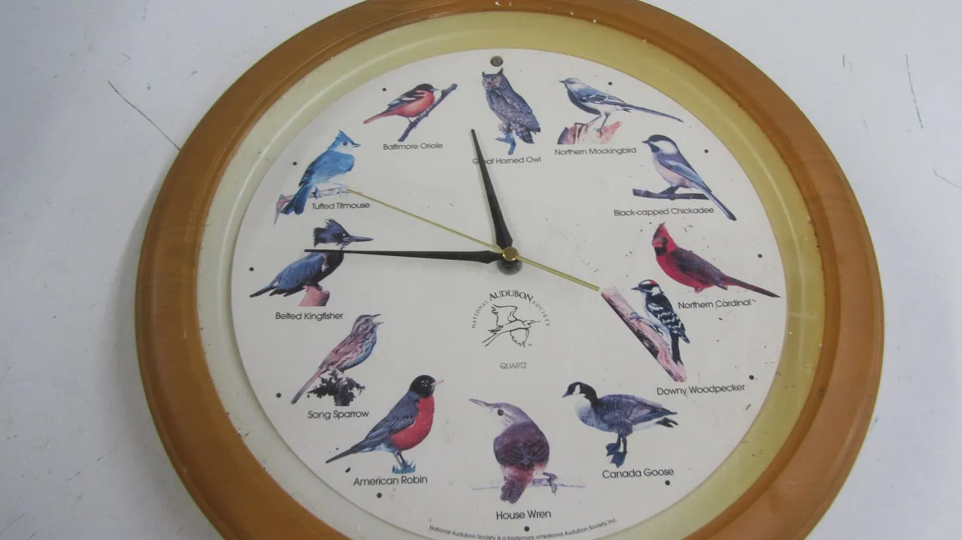 National Audubon Society Quartz Bird Clock