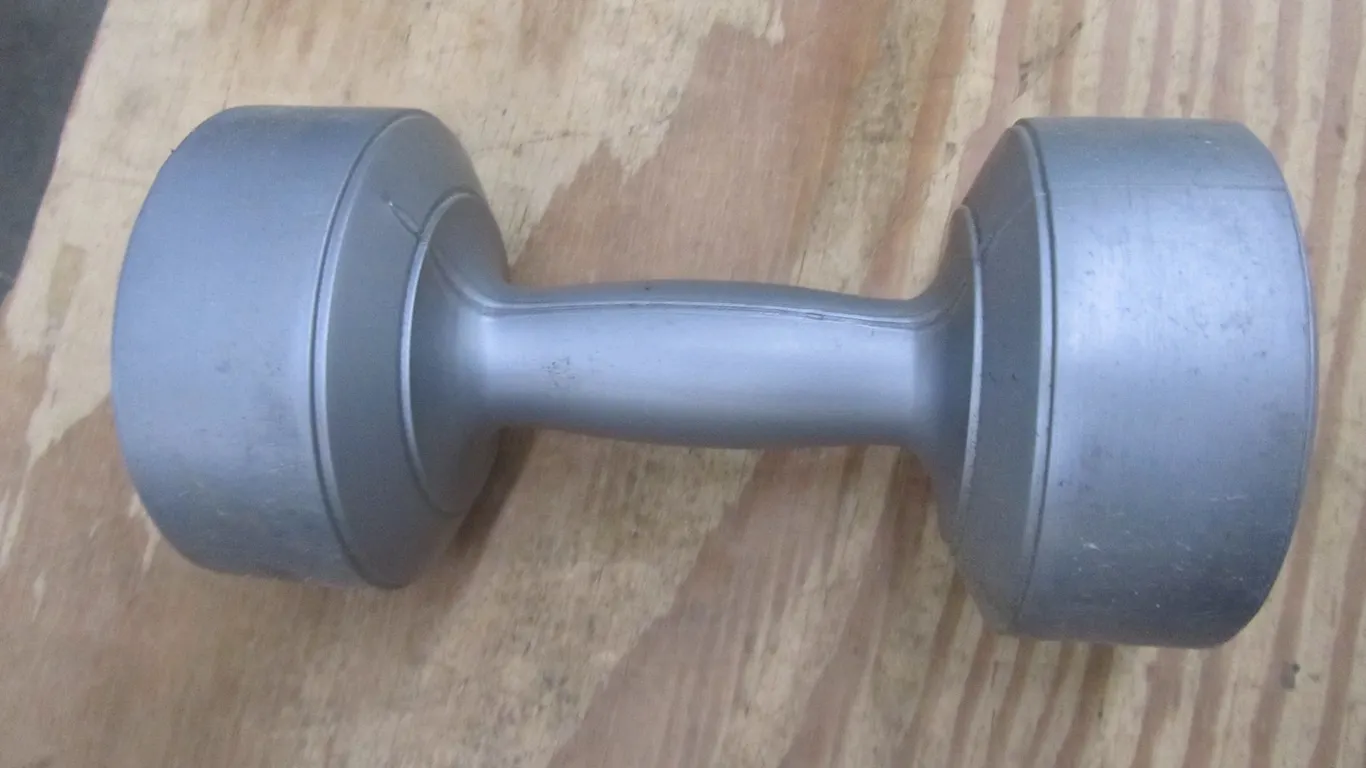 Ajay 6.6lb Dumbbell