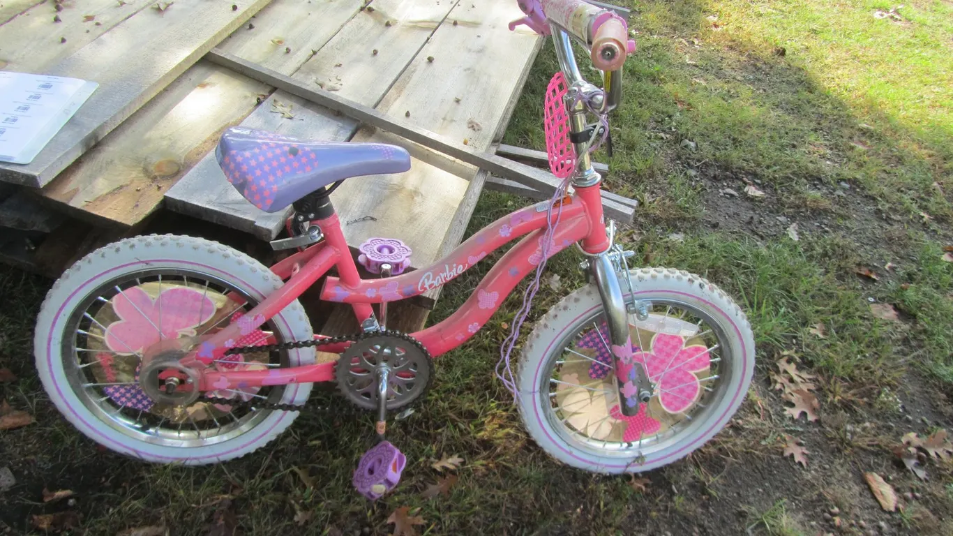Barbie Kid's Bicycle