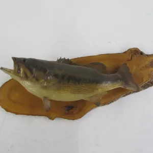 Large Mouth Bass Taxidermy Mount