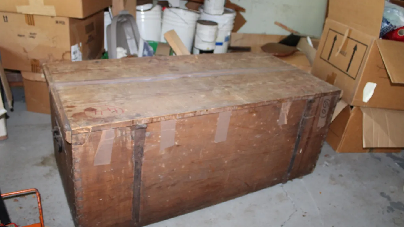 Primitive Trunk