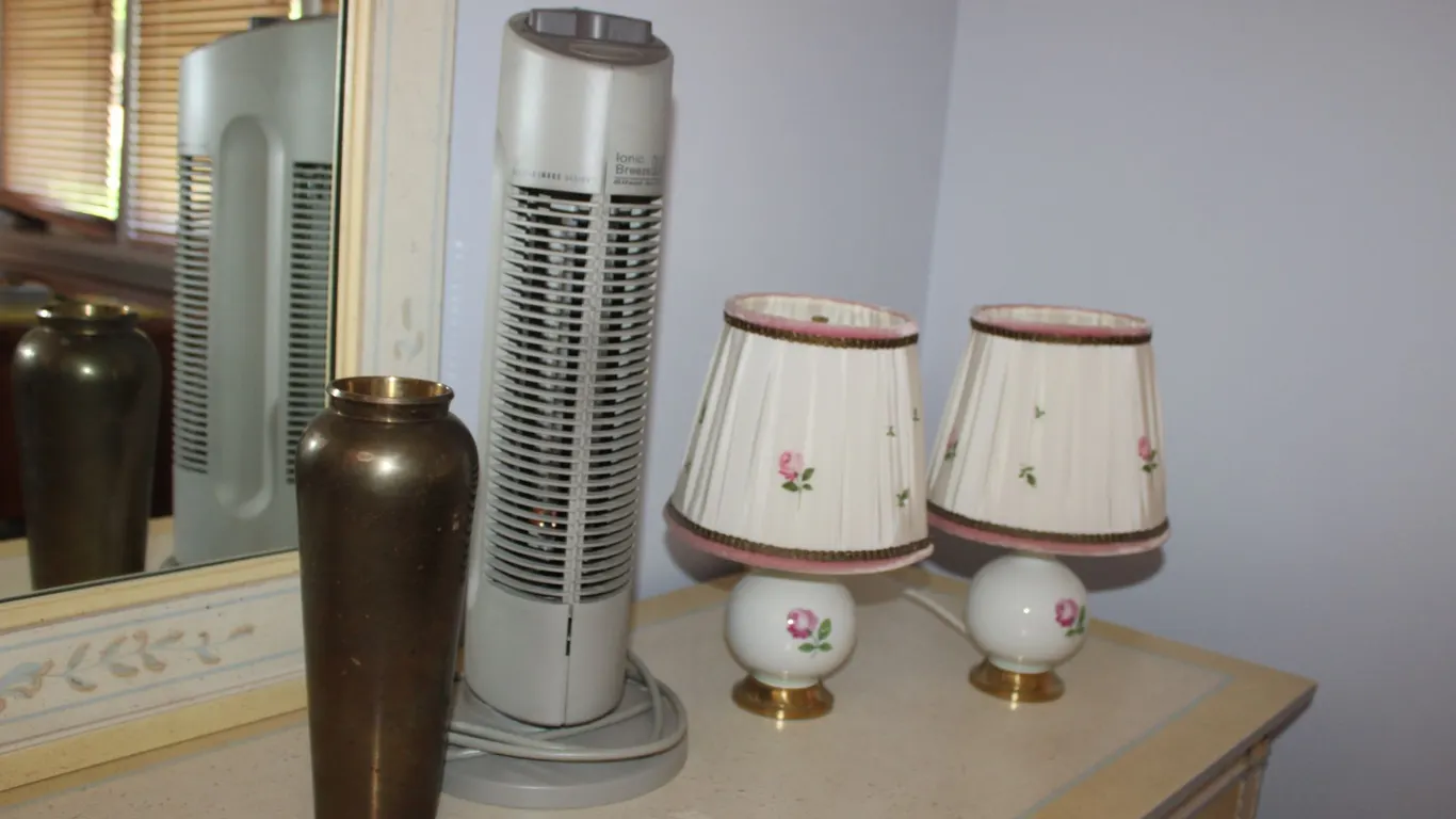 Lamps, Vase & Fan