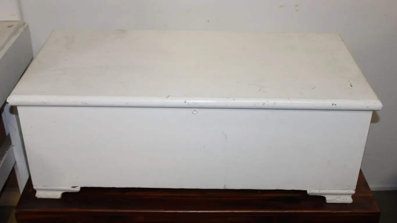 Painted Storage Chest