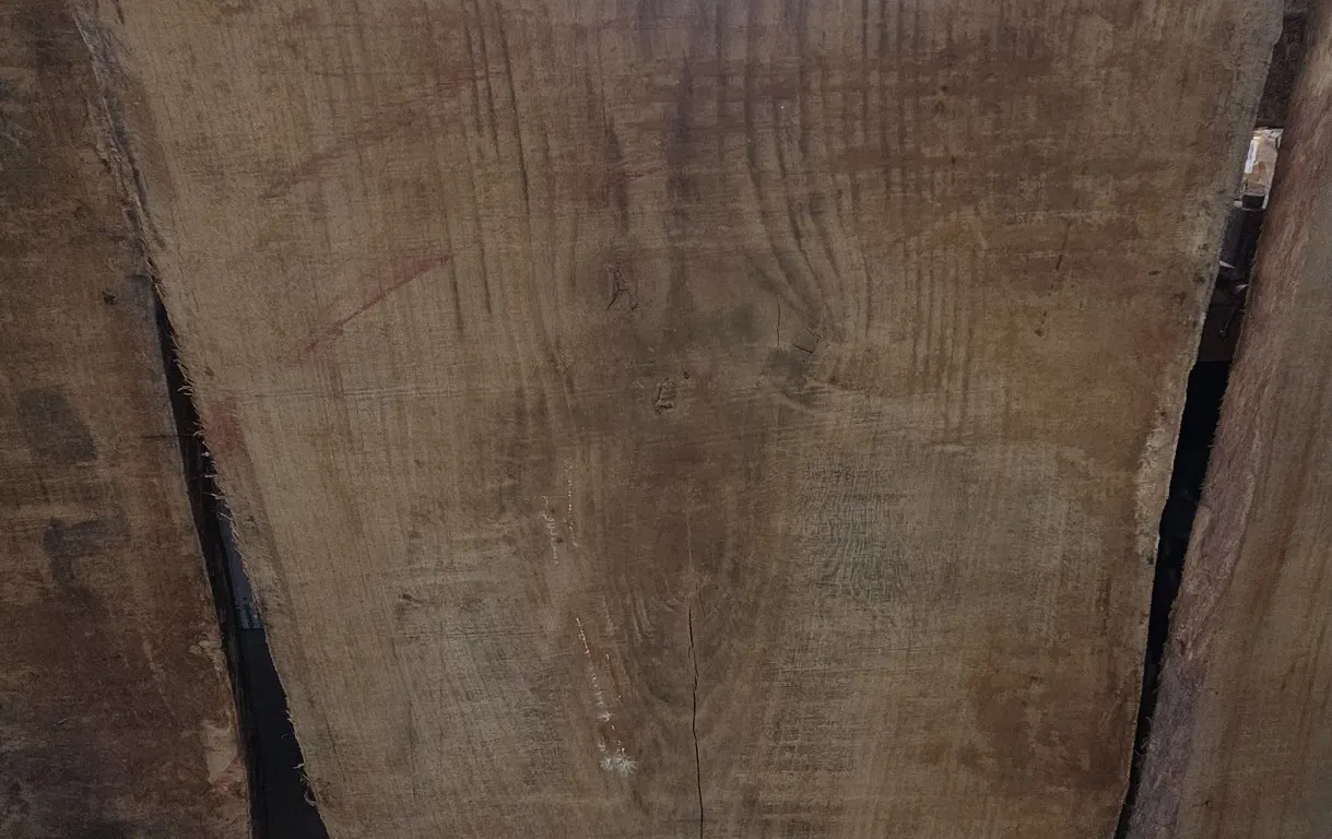 3 inch thick White oak live edge slab