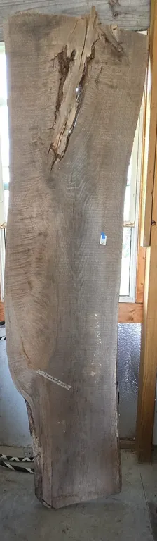 2 in thick white oak live edge River table slab