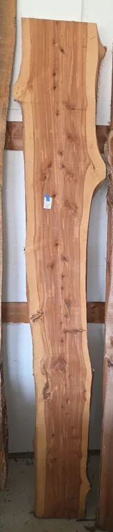 2 in thick live edge cedar slab