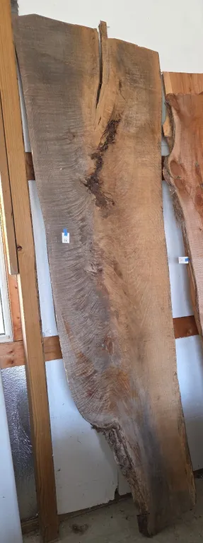 2 in thick White oak River table slab