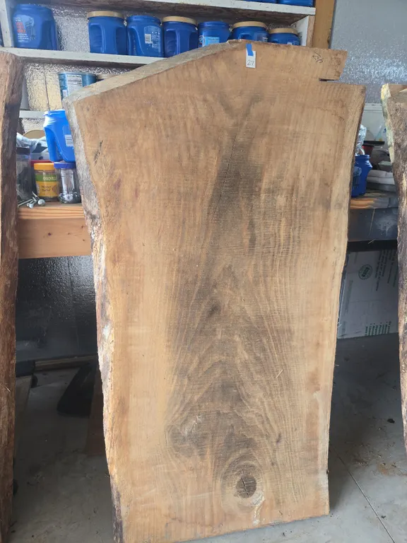 Large 3 in thick, white oak live edge slab