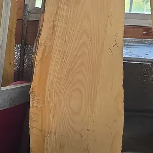 2 in thick live edge Ash River table slab