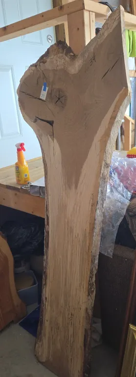 2 inch thick live edge Ash River table slab