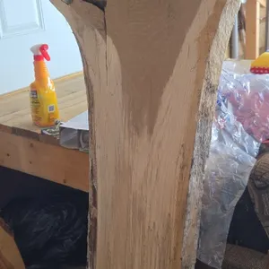 2 inch thick live edge Ash River table slab