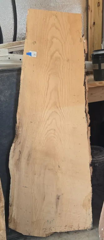 2 in thick live edge rough cut ash River table slab