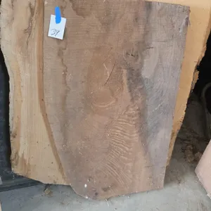 Small live edge Walnut slab