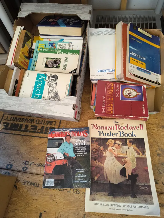 Various Books Lot
