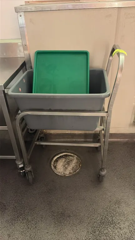 Stainless steel utility cart. Features integrated push handle and frame designed to hold a bus box. Includes gray plastic tub and green plastic tray.