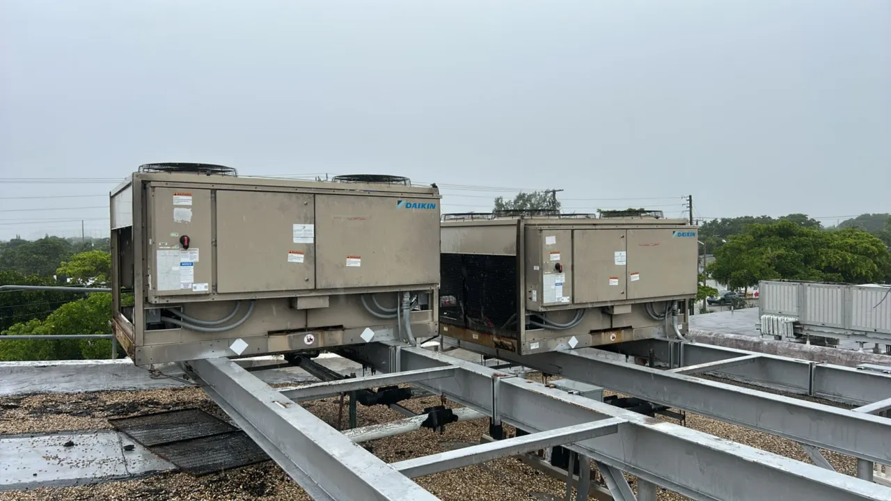 Daikin rooftop HVAC units. Features (4) top-mounted condenser fans, (4) Copeland scroll compressors across dual circuits, and protective wire grilles.