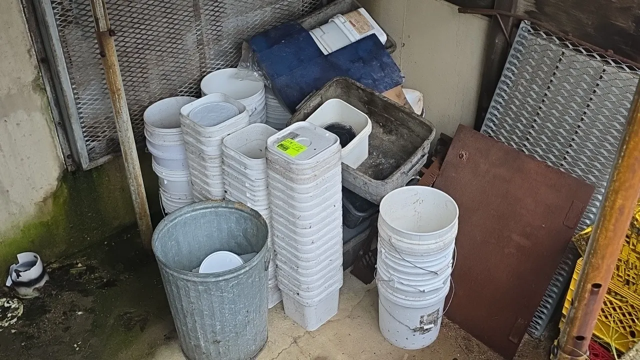 Assorted poly containers and galvanized trash can. Includes round and square plastic buckets, milk crates, plastic storage totes, utility tubs, and a