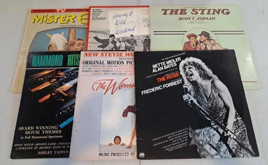 Mister Ed, Having A Wild Weekend, The Sting,