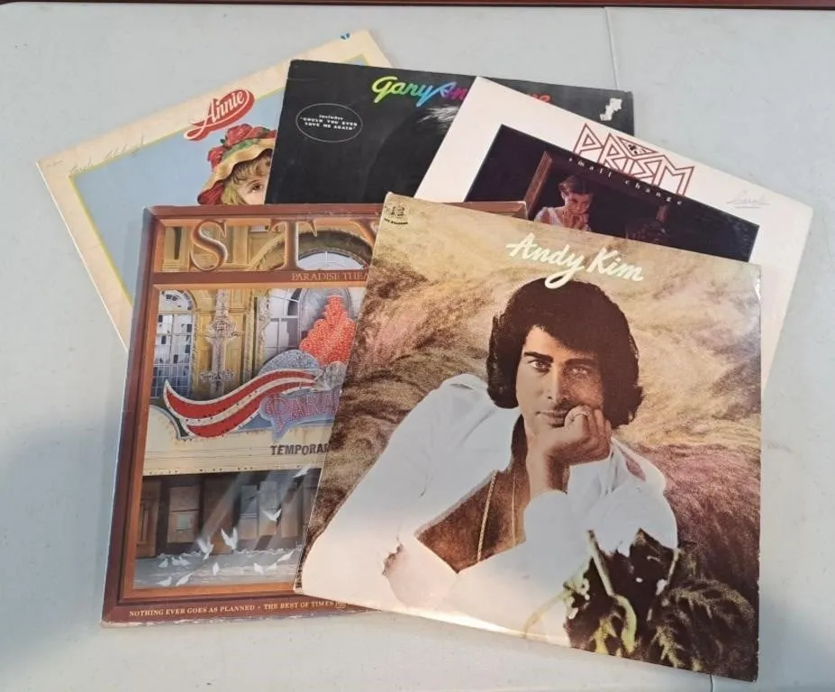 Vintage Vinyl Records - Styx, Andy Kim, Anne