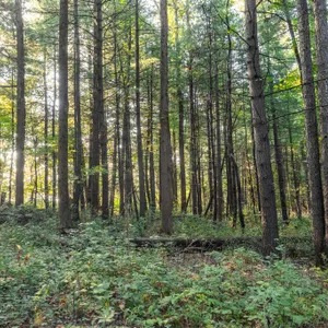 Parcel 10: 5.7 Acres