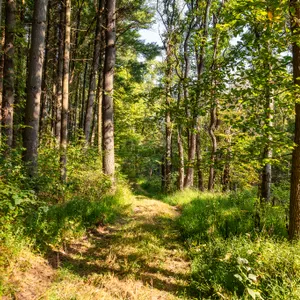 Parcel 3: 29.2 Acres