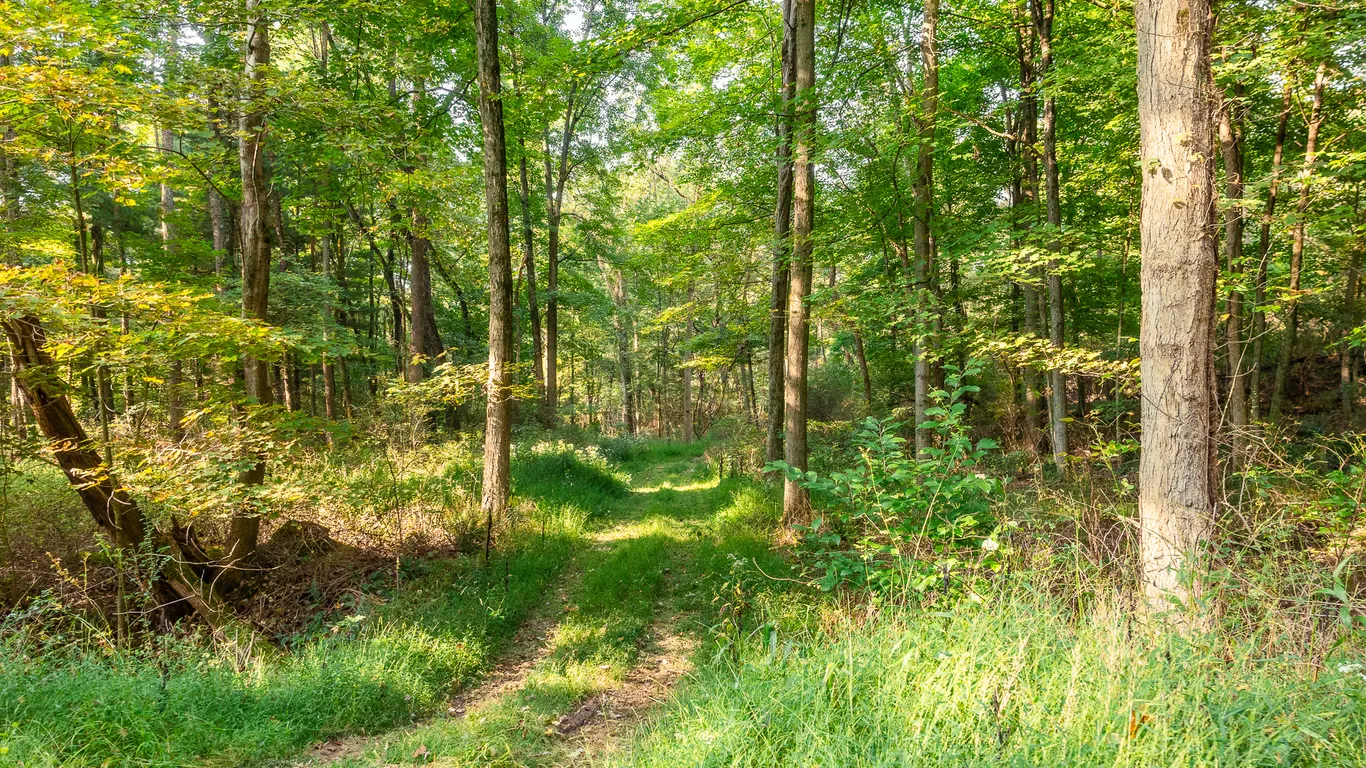 Parcel 5: 6.1 Acres