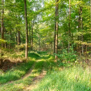 Parcel 5: 6.1 Acres