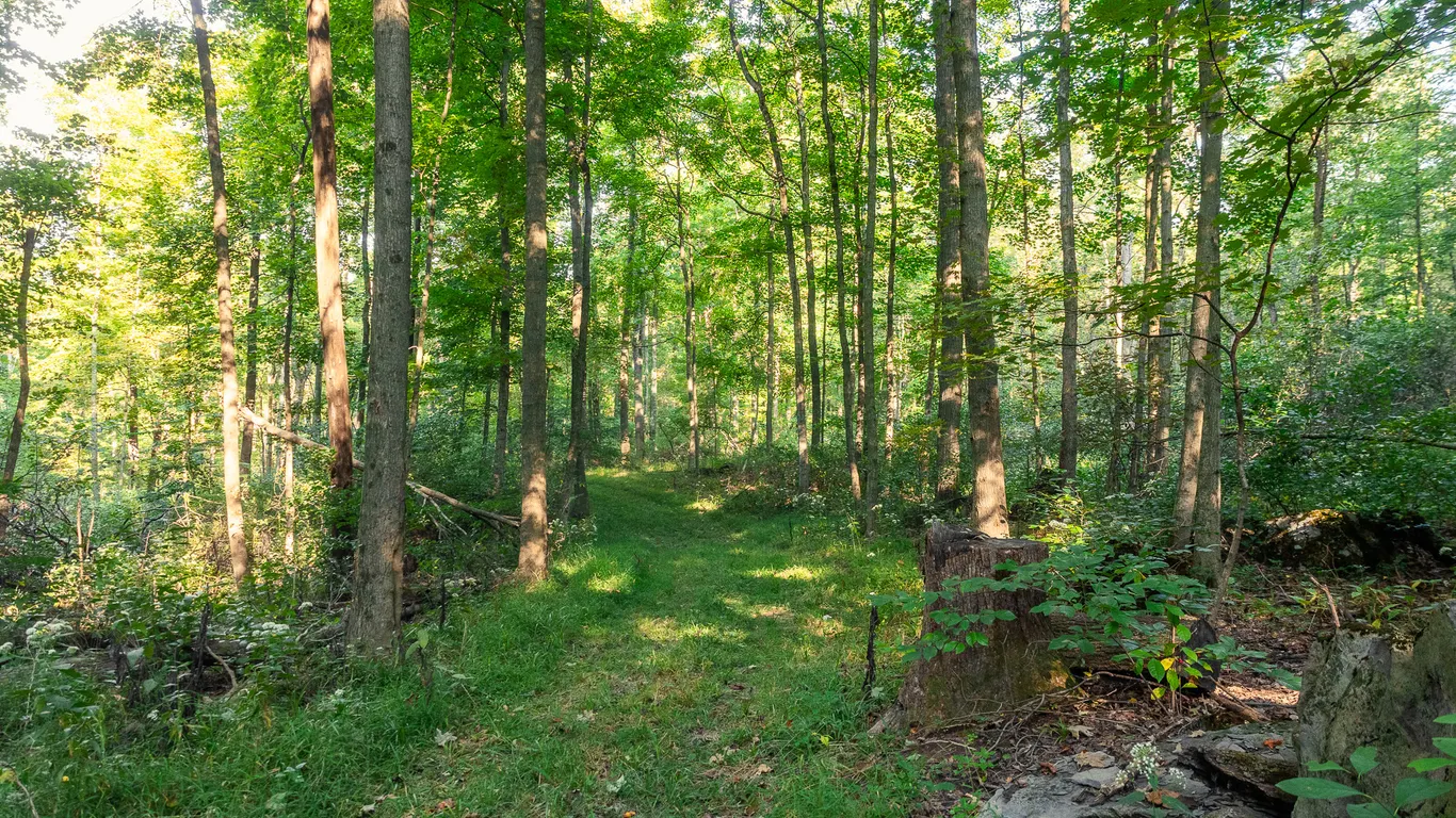 Parcel 6: 8.3 Acres