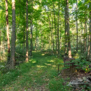 Parcel 6: 8.3 Acres