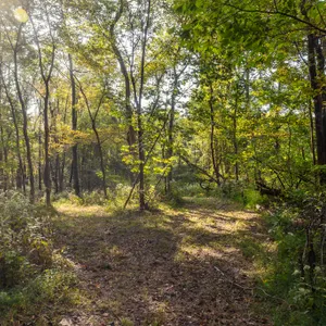 Parcel 7: 32.8 Acres