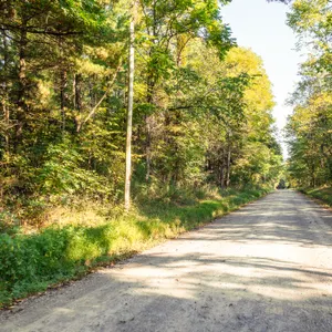 Parcel 9: 5.9 Acres