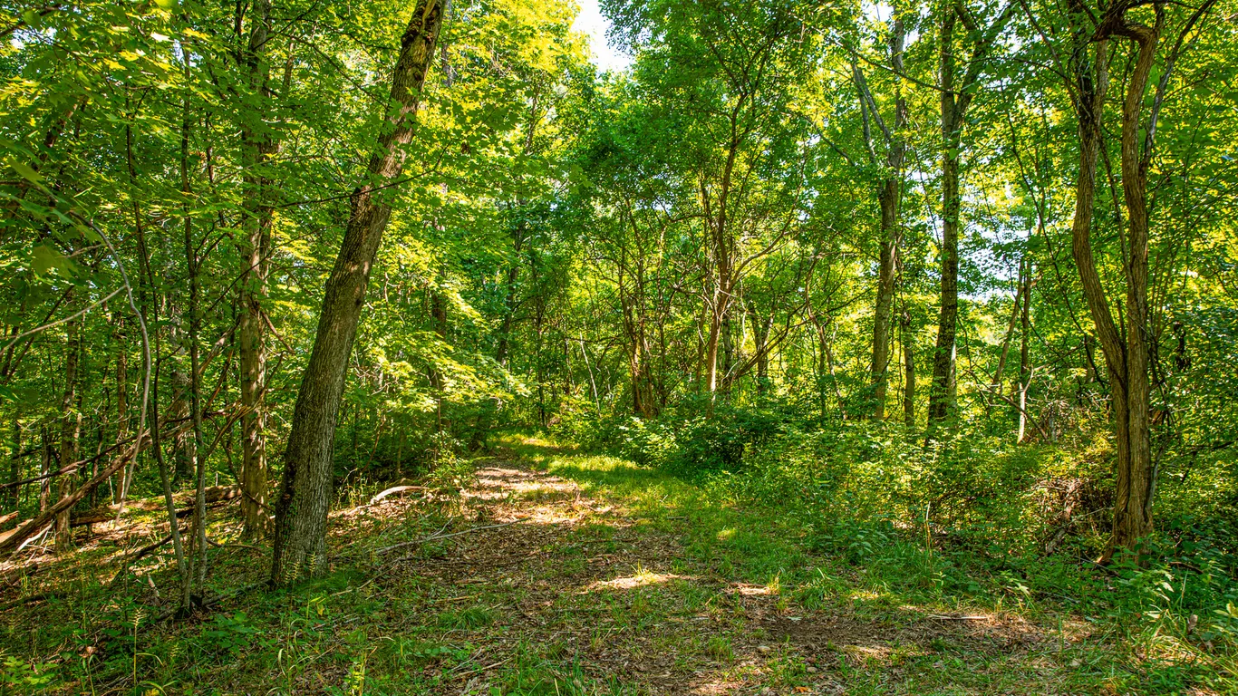 Parcel 1: 66.21 Acres