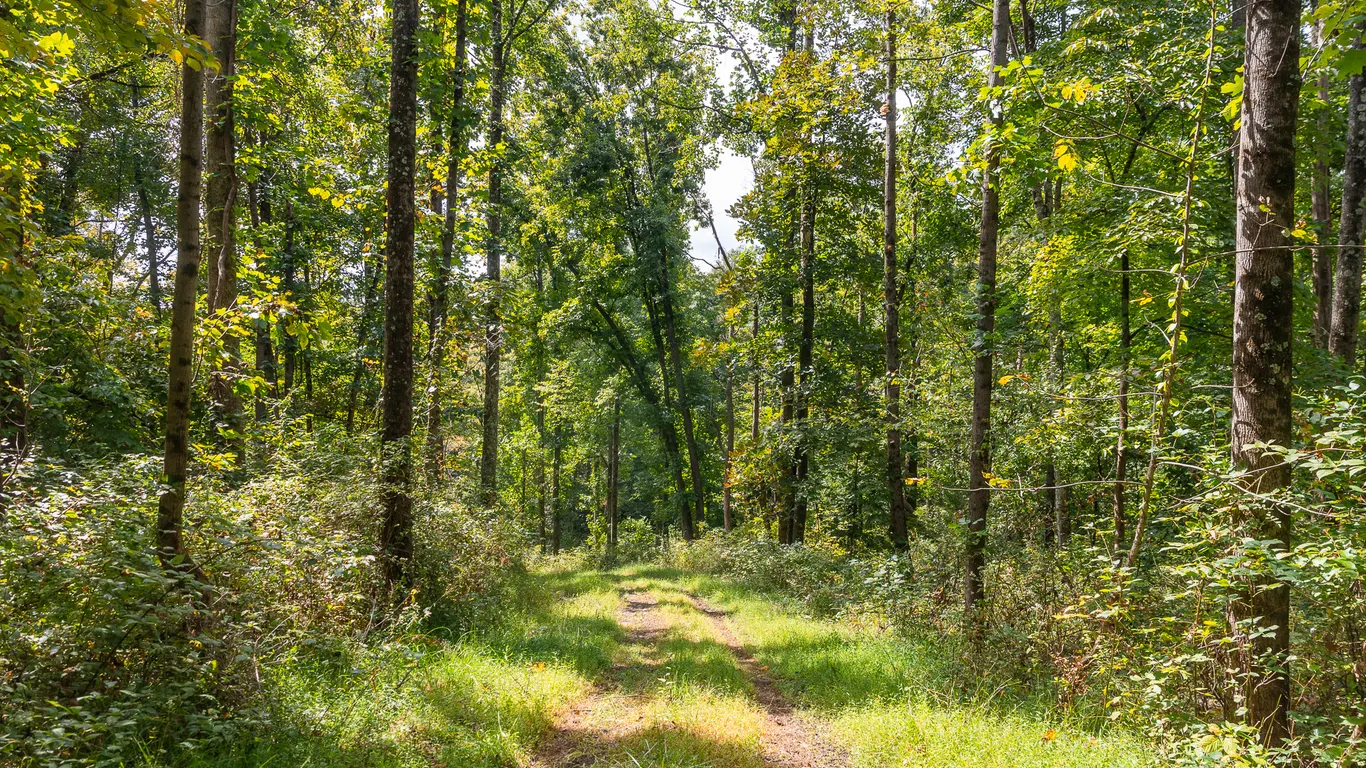 Parcel 2: 50.76 Acres