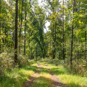 Parcel 2: 50.76 Acres