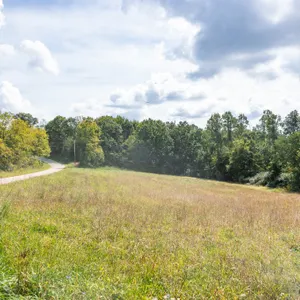 Parcel 4: 78.35 Acres