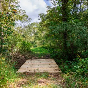 Parcel 2: 32.10 Acres